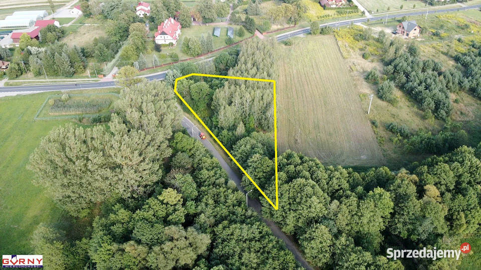 Działka Łęczno 3883m2 Sprzedaż