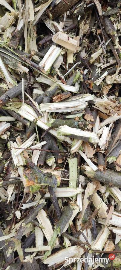 Zrębki akacjowośliwkowe lubelskie Chełm