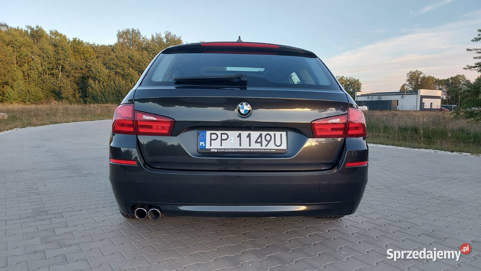 BMW 530 D F11 Piła