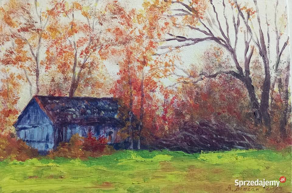 Sprzedam obraz na płótnie Bochnia