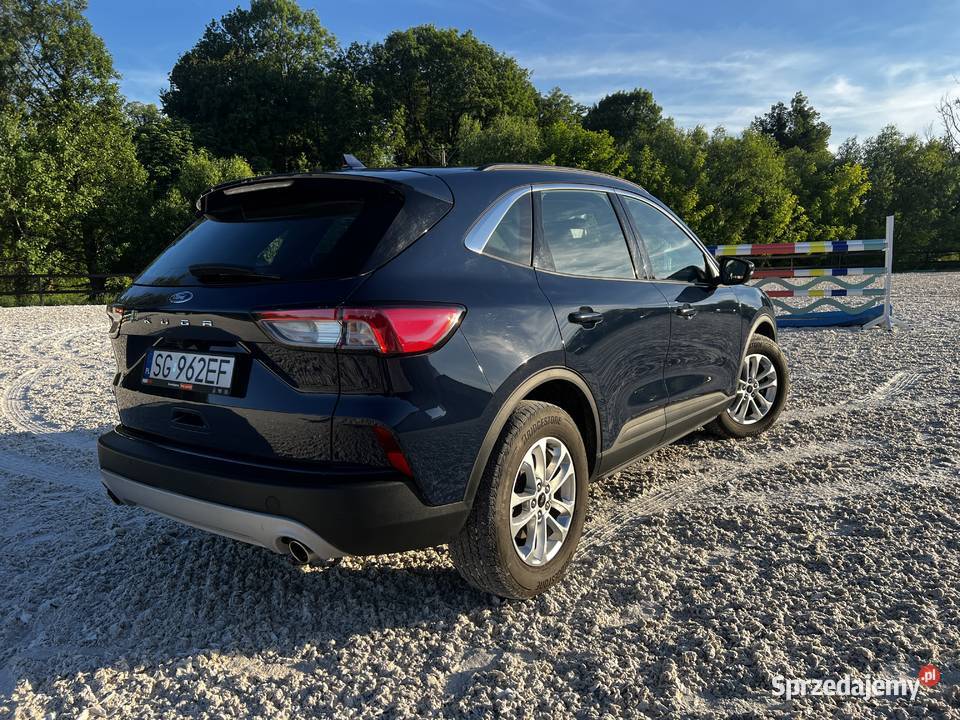 Ford Kuga 15 TITANIUM BUSINESS prod 2022 kamera cofania Paniówki