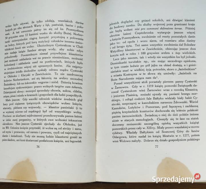 S Wasylewski Klasztor i kobieta 1923 Antykwariat