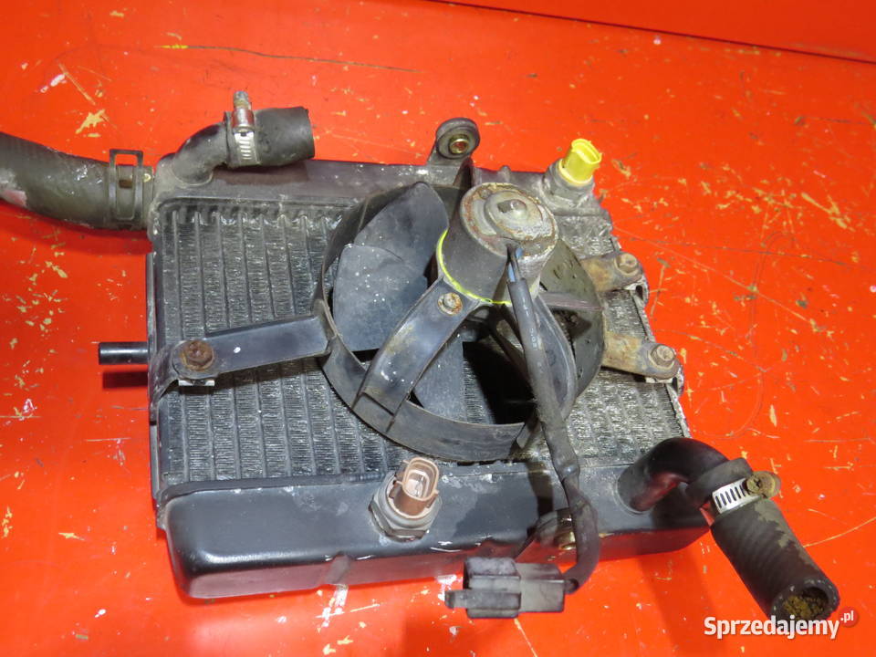 YAMAHA SKYLINER 250 MAJESTY chłosdnica wody Warszawa