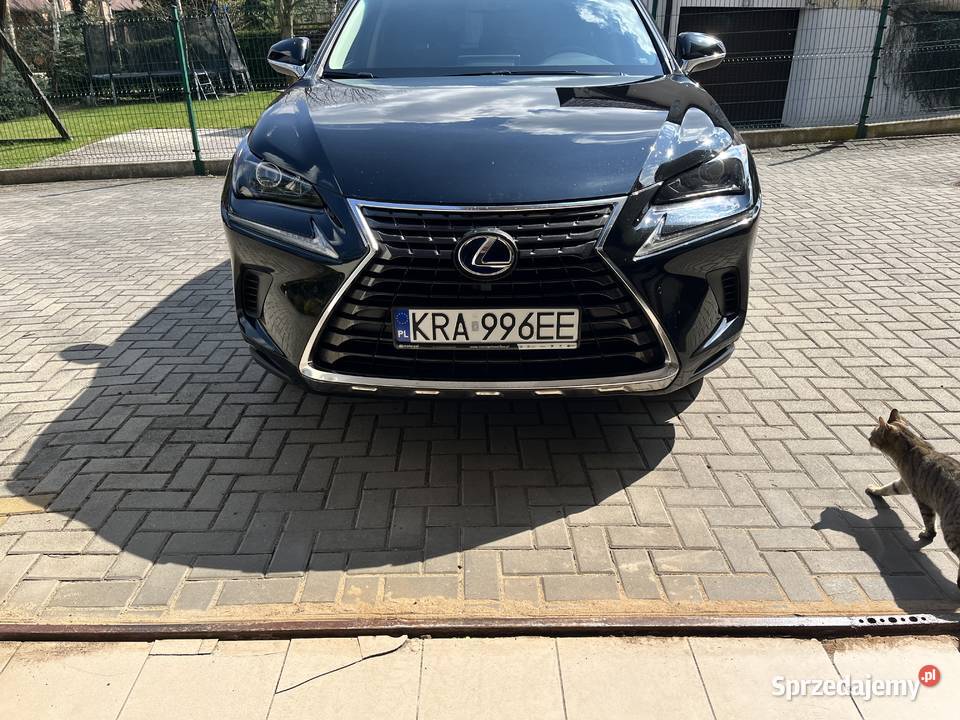 Sprzedam Lexus NX300 Hybryda salon gwarancja welurowa tapicerka Zielonki