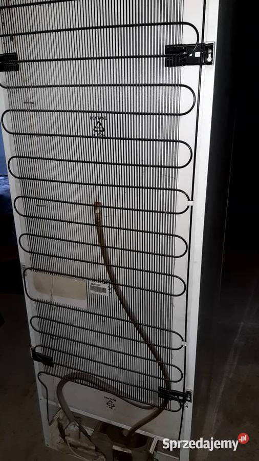 Lodówka Zanussi stan używany wolnostojące Inowrocław