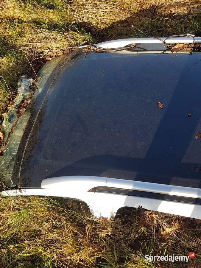 PEUGEOT 308 SW 308 T7 KOMBI DACH PANORAMA DACH Turek