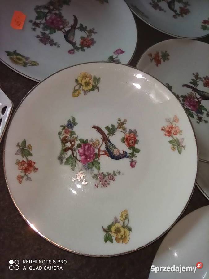 talerzyk deserowyz ptakiem Gdańsk
