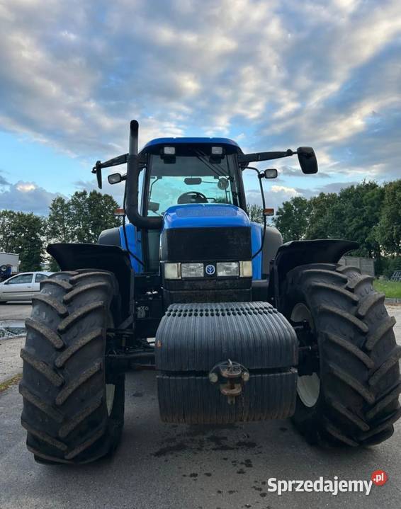 Holand TM190 Kuczyna