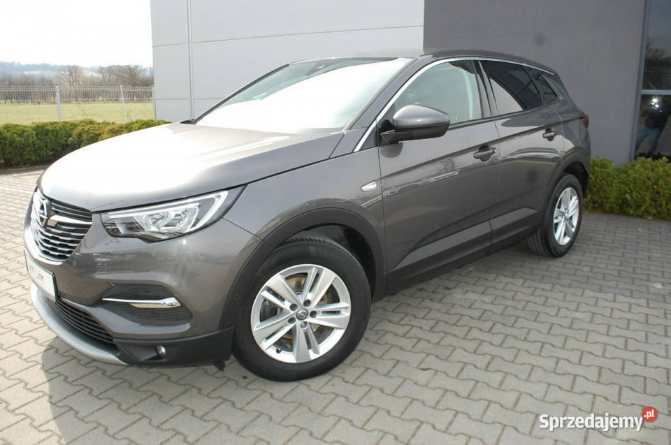 Opel Grandland X Nawigacja czujnik parkowania Dębica