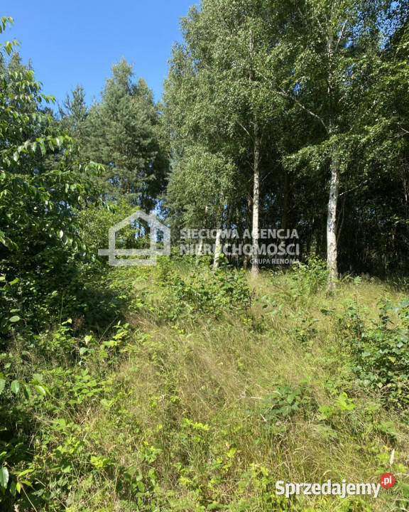 Grunt 883m2 Mieroszyno 44m