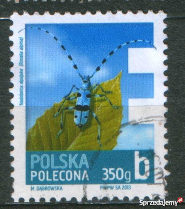 Zn Fi 4477 9 kas 2013 Gliwice sprzedam