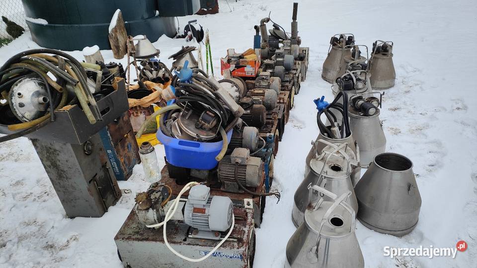 Sprzedam dojarke Alfa lawa Żarnów