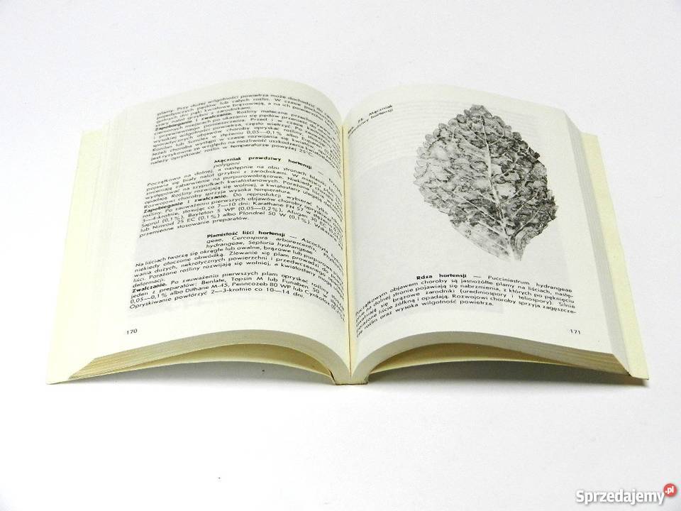 Ochrona roślin ozdobnych w szklarniach fa