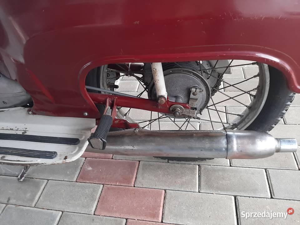 Jawka nieuszkodzony Wierzchosławice