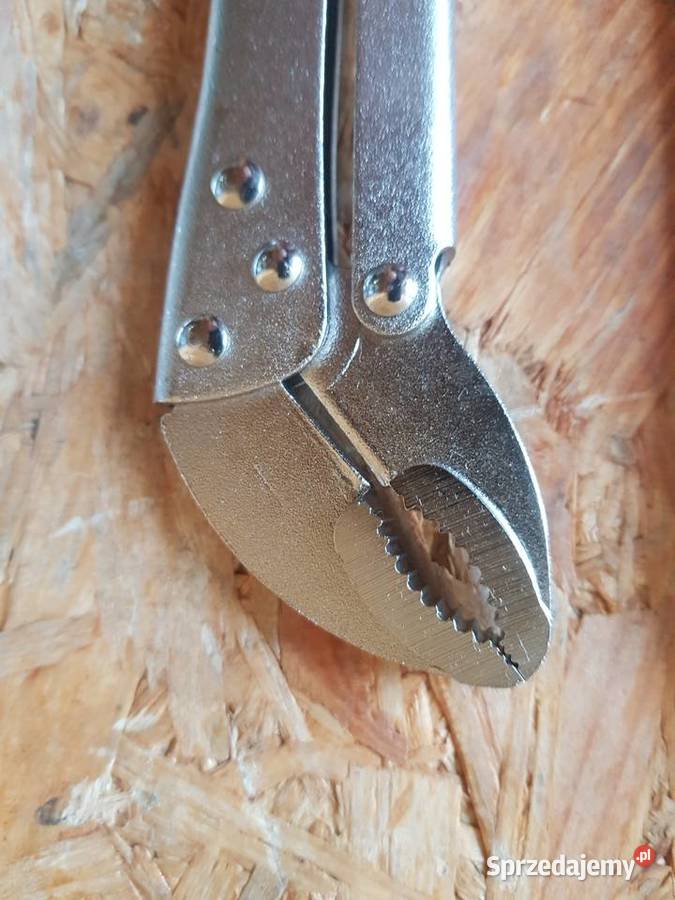 SZCZYPCE SAMOZACISKOWE MORSA MORSEA DŁUGIE 3 Głogowa