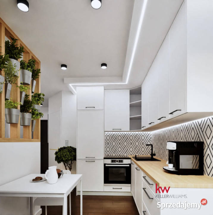 Mieszkanie Zabrze Szybowa 367m2 2 pokojowe Sprzedaż