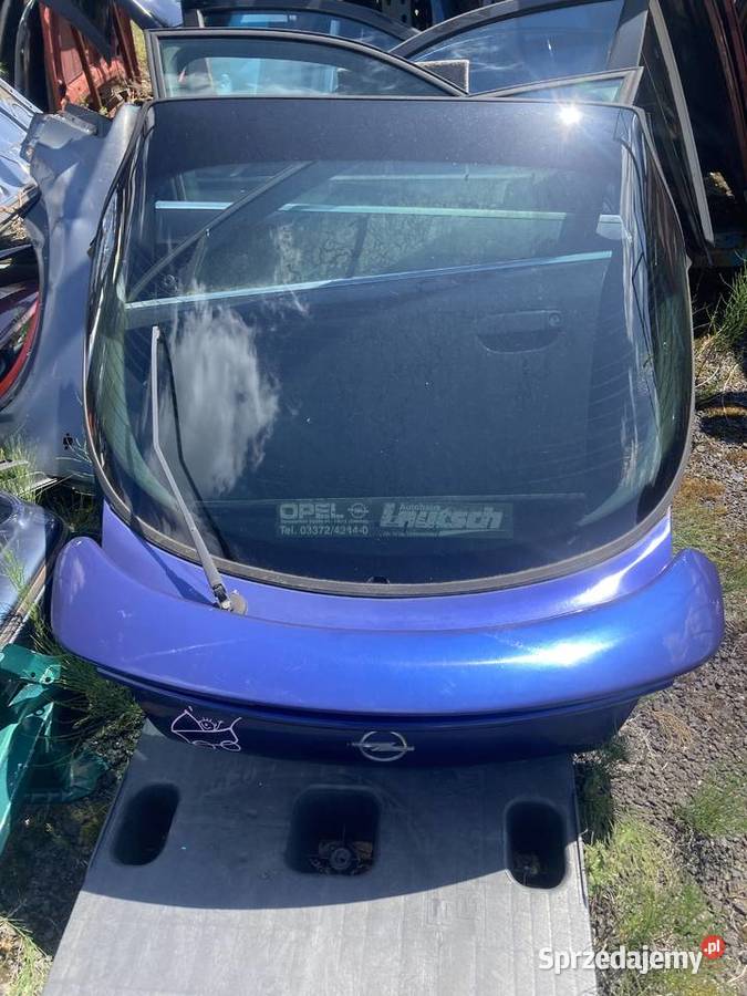 Opel Tigra klapa tył wielkopolskie Rakoniewice