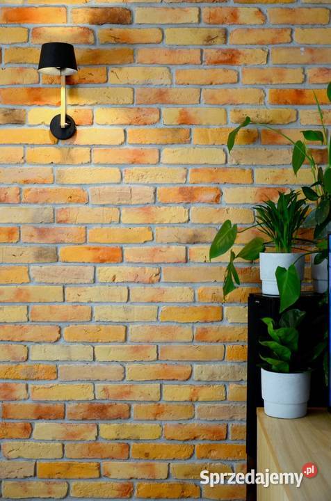 Stylowe płytki ceglane stare cegły lico cegły Płytki ścienne małopolskie Gorlice