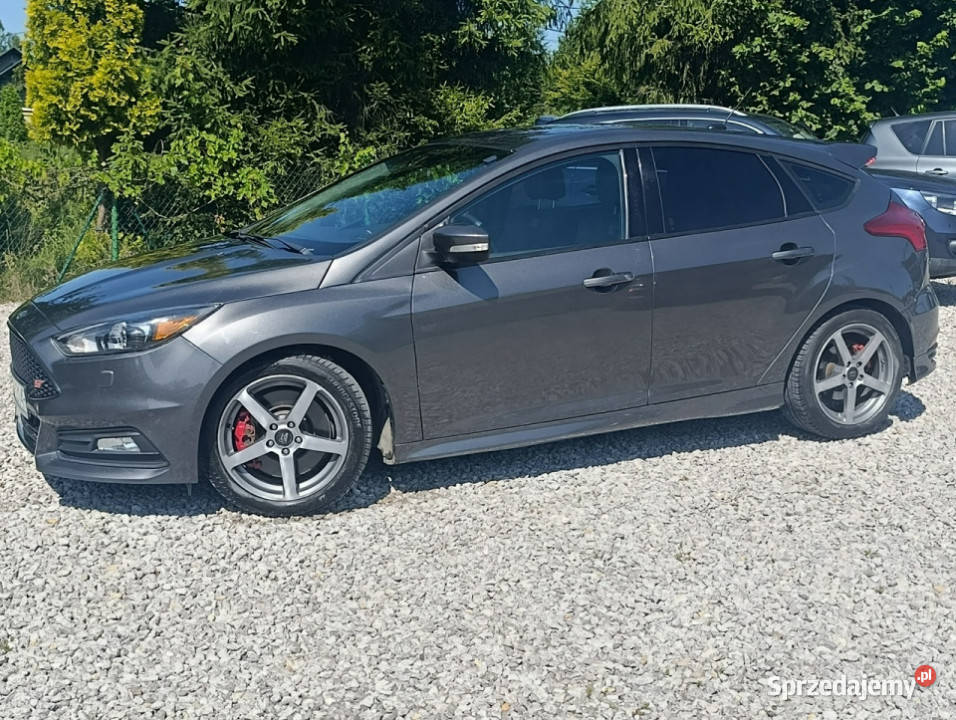 Ford Focus ST 20250 Mały przebieg serwisowany Hatchback Focus Dulowa