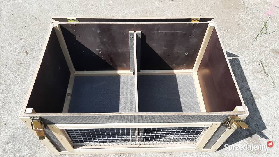 Transporter Czerniejewo sprzedam