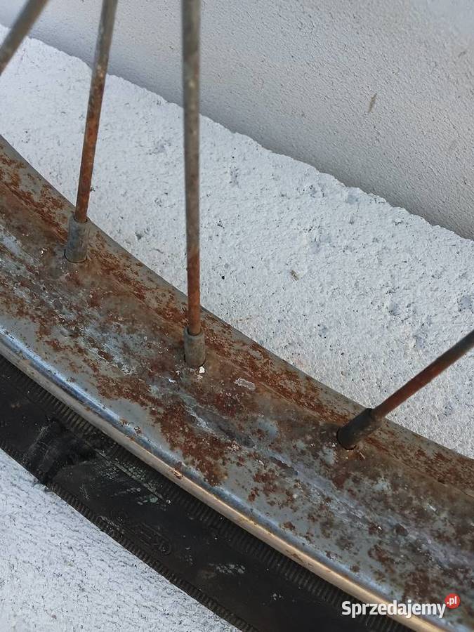 Koło komar Milejewo