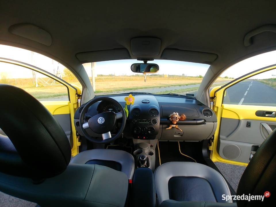 BEETLE kujawsko-pomorskie Toruń