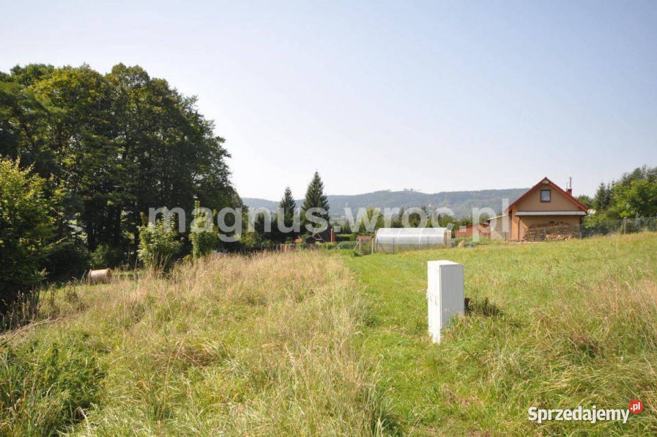 Widokowa działka budowlana na lekkim stoku Głuszyca