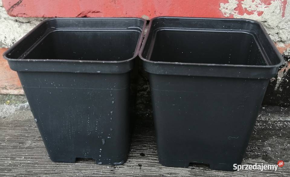 Doniczki produkcyjne P9 9x9x9 czarne kwadratowe Siewierz