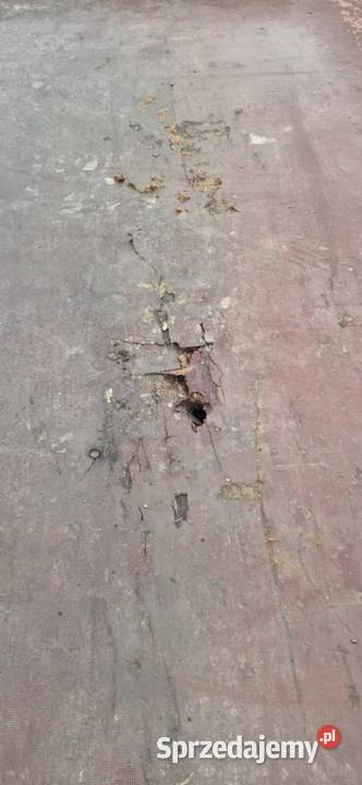 Przyczepa samochodowa Trailis