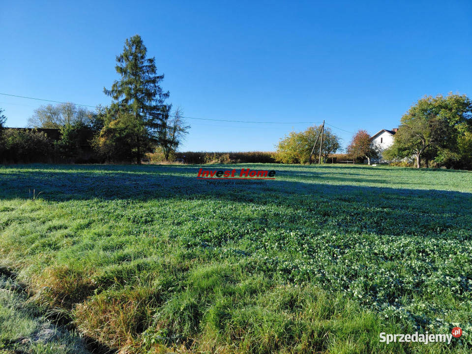 Działka Dębowiec 2732m2 2732m2