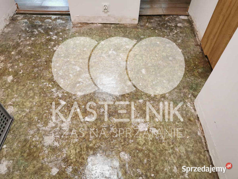 Sprzątanie zalaniach usuwanie szkód Włodawa