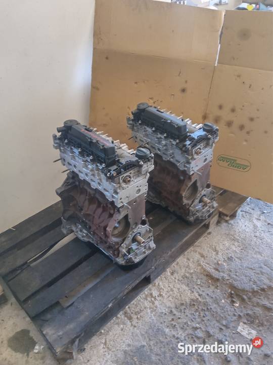 Silnik 20 bluehdi jumperboxerproace Konin sprzedam