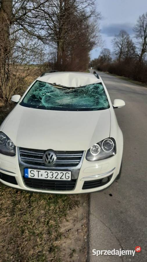VW GOLF V 19 TDI DSG KOMBI Golf mazowieckie Dąbrowa Chotomowska