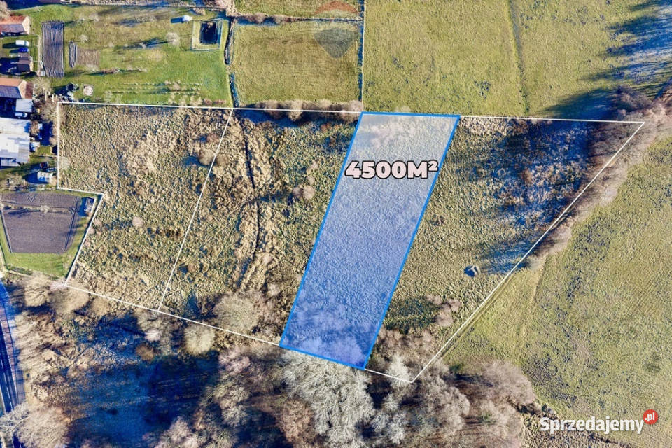 Na sprzedaż działka rolna 4500 m 1216 Sprzedaż lubuskie Chełm Żarski