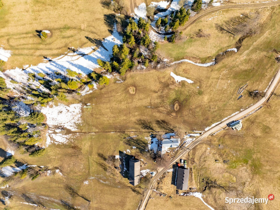 Sierockie działka 5901m2 WZtka 4 domy