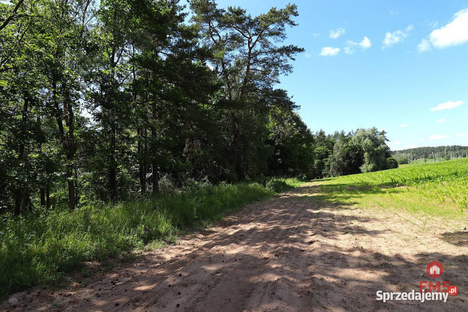 Działka na sprzedaż 1100m2 Rożyńsk Wielki sprzedam