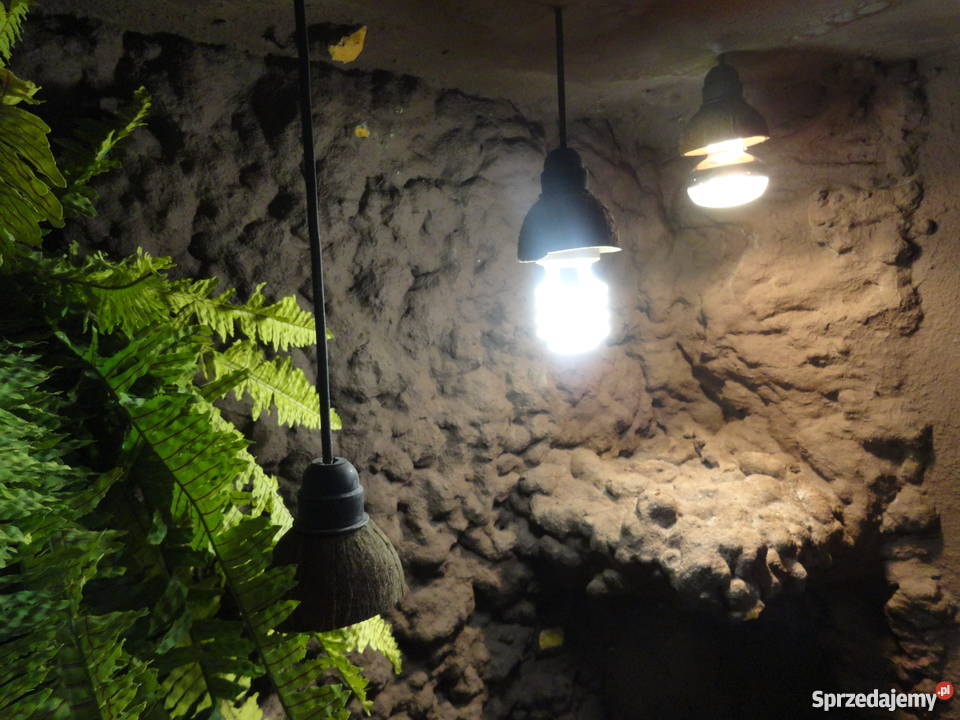 Sprzedam terrarium 250 sprzedam