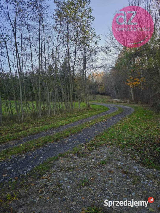 6 działek budowlanych w Stróżówce 24a Nieruchomości Stróżówka