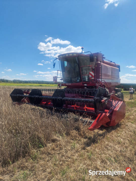 Kombajn Caase 2188 heder case 1030 Geringhoff lubelskie Biskupie-Kolonia