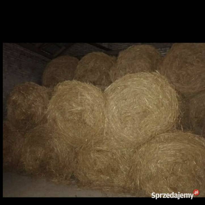 Słoma w balotach mazowieckie Słupica