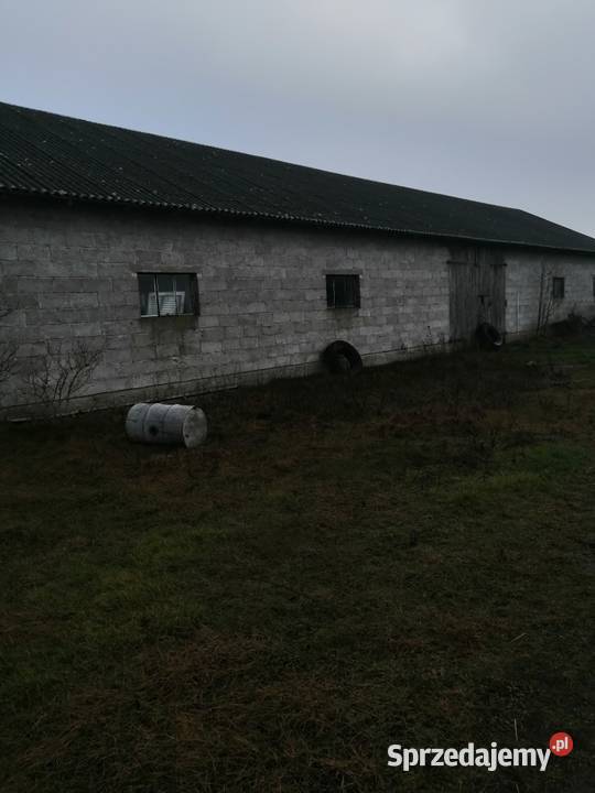 Syndyk sprzeda udział 18 w prawie własności 2zł/m2