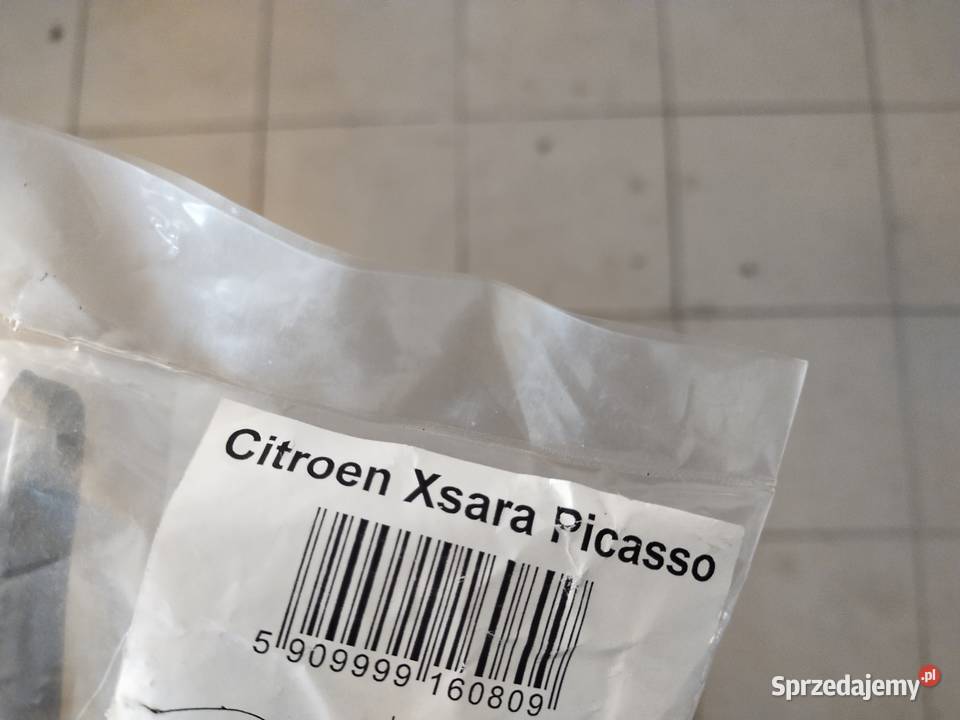 Wycieczka Xsara Picasso tył