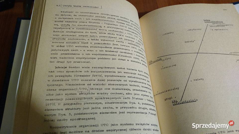 Psychologia społeczna system poznawczy i procesy Gdańsk