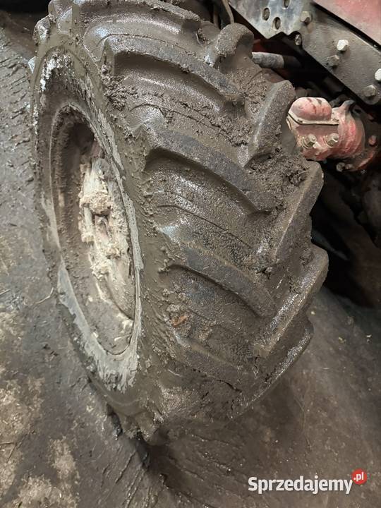 MTZ 82 z turem Skrzynia biegów Manualna Robaczyn