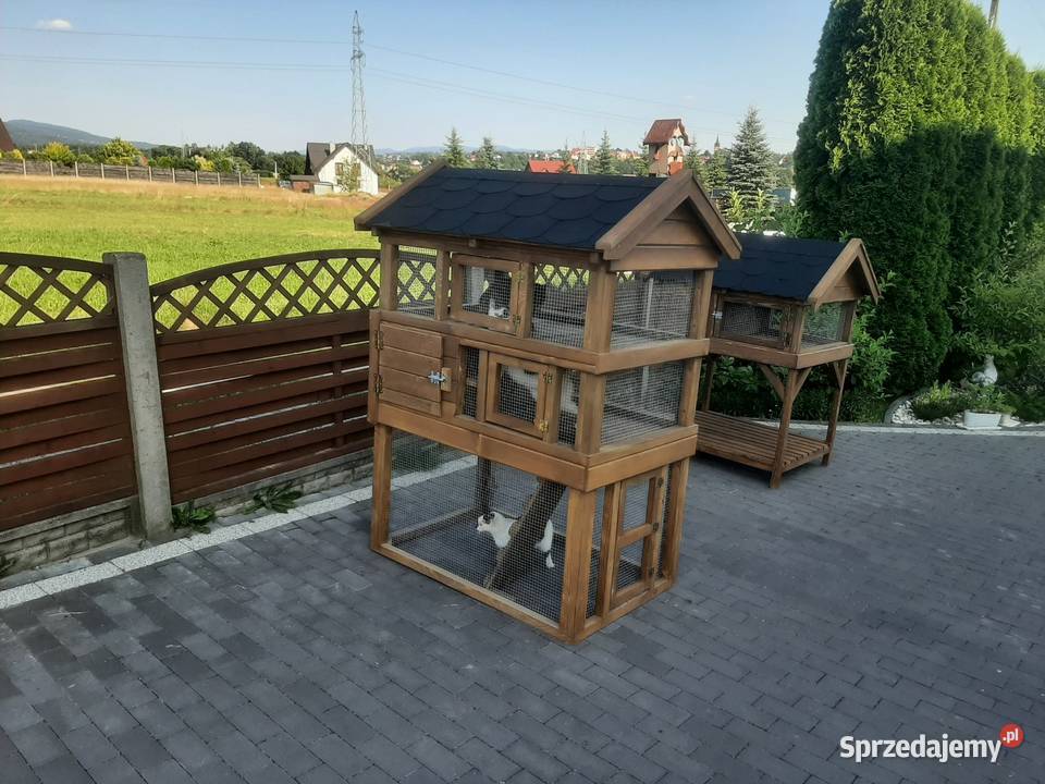 Buda kota z wolierą Jordanów