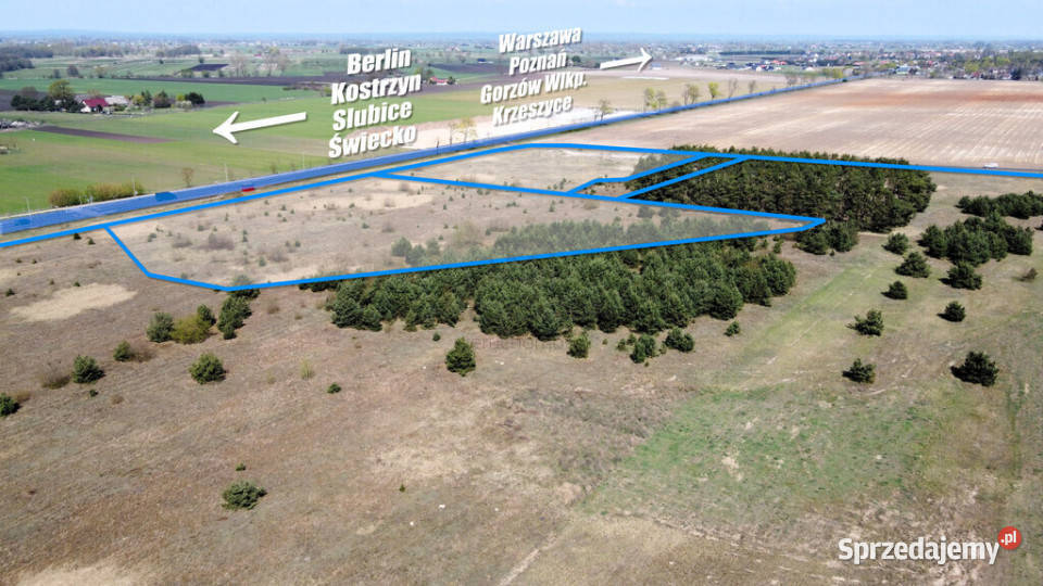 3 ha terenów usługowych DK22 0 lubuskie Karkoszów sprzedam