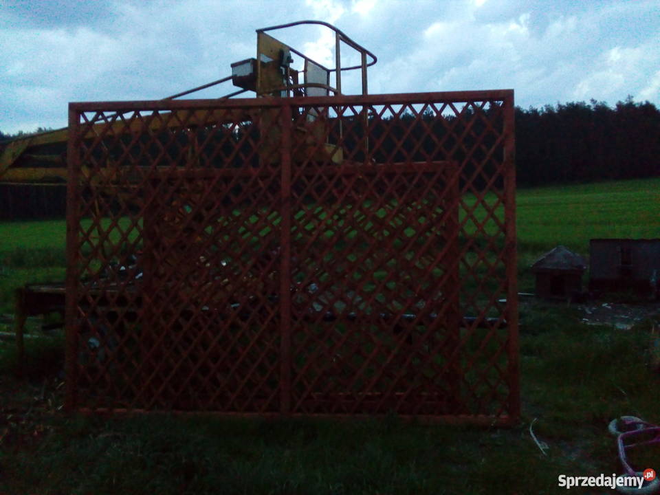 Pergola drewniana winogron pawilon Jędrzejów