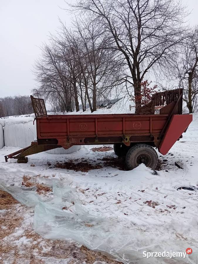 Rozrzutnik rosyjski ptu Rozrzutniki obornika sprzedam