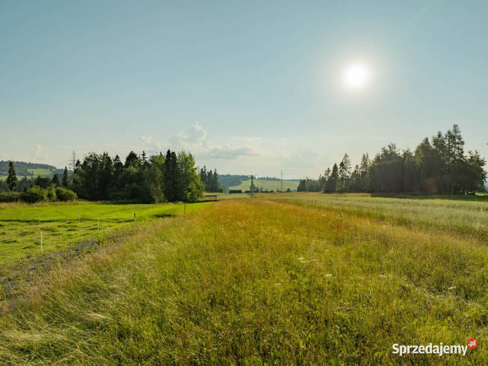 Działka na sprzedaż Zaskale małopolskie sprzedam