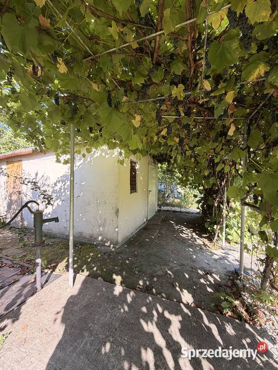 Działka ROD Osobowice Osobowicka Wrocław 86zł/m2 Sprzedaż